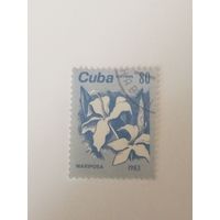 Куба 1983. Цветы.