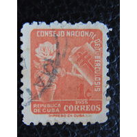 Куба 1955г.  Флора.