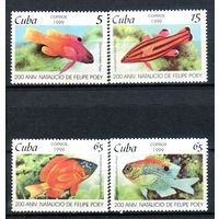 Куба - 1999г. - Рыбки - полная серия, MNH [Mi 4205-4208] - 4 марки