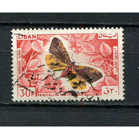 Ливан - 1965 - Бабочки 30Pia - [Mi.900] - 1 марка. Гашеная.  (LOT Ds41)