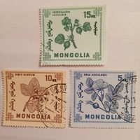 Монголия. Флора