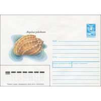 Художественный маркированный конверт СССР N 87-544 (16.12.1987) Морские раковины  [Арфа большая]