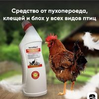 "Чистое Перо" для борьбы с пухопероедами, клещами и блохами у домашней и сельскохозяйственной птицы