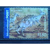 Австралия 2005 Кенгуру Михель-2,6 евро гаш