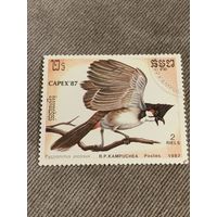 Камбоджа 1987. Птицы. Pycnonotus jocosus. Марка из серии