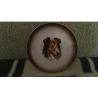 Декоративная тарелка с портретом собаки колли
