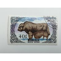 Монголия 1985. Крупный рогатый скот