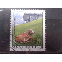 Австрия 2002 Стандарт, корова Михель-1,8 евро гаш