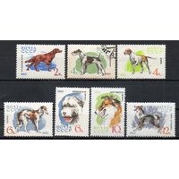 Собаки СССР 1965 год 7 марок