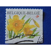 Бельгия 2001 г. Цветы.