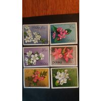 Польша 1971-72 6м цветы