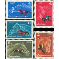 Коневодство и конный спорт СССР 1968 год (3598-3602) серия из 5 марок
