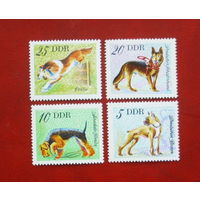 ГДР. Собаки. ( 4 марки ) 1976 года. 10-4.