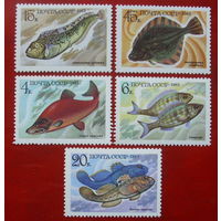 СССР. Промысловые рыбы. ( 5 марок ) 1983 года. 2-6.