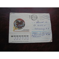 Конверт СССР Персидская голубая кошка 1990 год, штамп Молодечно, Борисов