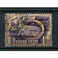 Венгрия - 1950 - Пятилетний План. Железная дорога 1Ft - [Mi.1076] - 1 марка. Гашеная.  (Лот 21Fz)-T25P38