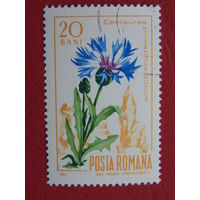 Румыния 1967 г. Цветы.