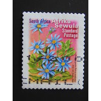 Южная Африка 2000 г. Цветы.
