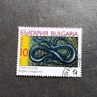 Марка Болгария 1989 год Змея