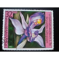 Болгария 1986 орхидея