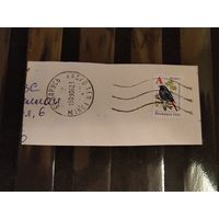 Беларусь красивая вырезка марка  на мелованной бумаге фауна птица  (2-2)