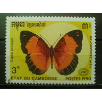 Камбоджа 1990 Бабочка