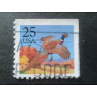 США 1988 стандарт, птица