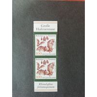 Германия. Сцепка из двух марок за 1999 год "Большая подковообразная летучая мышь" Mi. 2086 (чистые**)