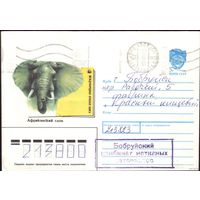 1990 год А.Исаков Африканский слон 7 90-210