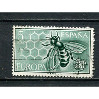 Испания - 1962 - Европа (C.E.P.T.) - соты 5Pta - [Mi.1341] - 1 марка. Гашеная.  (Лот 27ER)-T7P22