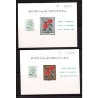 Сальвадор-1962, (Мих.Бл.12-13)  * (сл. от накл.), Флора, Цветы, Надп.