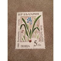 Болгария 1988. Растения. Scilla bythynica
