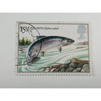 Великобритания 1983. Речная рыба