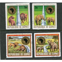 Гвинея. Африканская фауна
