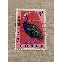Конго.Фауна.Птицы