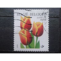 Бельгия 1999 Тюльпаны