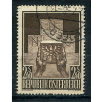 Австрия - 1956г. - принятие Австрии в ООН - 1 марка - полная серия, гашёная [Mi 1025]. Без МЦ!