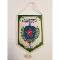 Вымпел 50 лет 8 отдельный дисциплинарный батальон Беларусь