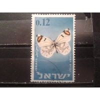 Израиль 1965 Бабочка, концевая