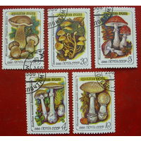 СССР. Ядовитые грибы. ( 5 марок ) 1986 года. 6-15.