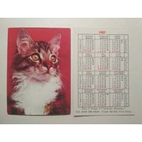 Карманный календарик. Котик .1987 год
