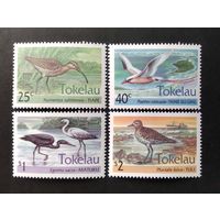 ТОКЕЛАУ\5ф\(Tokelau) 1993. Птицы. 4 марки