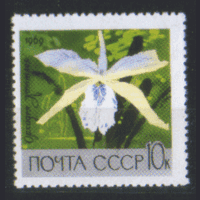 З. 3676. 1969. Орхидея Коттлея. ЧиСт.