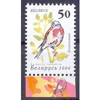 Беларусь фауна стандарт 2006 "Птицы сада" коноплянка /поле/