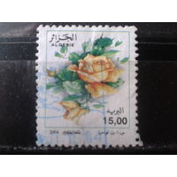 Алжир 2004 Стандарт, розы Михель-1,5 евро гаш