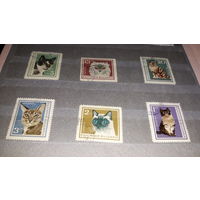 Кошки фауна Болгария марки