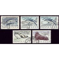 5 марок 1971 год Обитатели морей и океанов 3964-3968
