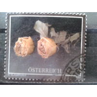 Австрия 2007 Розы, траурная марка