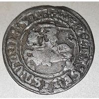 Полугрош (1/2 гроша) 1516 ( Сигизмунд I Старый)
