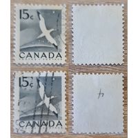 Канада 1954 Национальная неделя дикой природы. Северная олуша. Mi-CA 288A